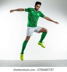 日本职棒：2025 年日本大赛（日本一）由阪神虎对阵软银鹰，重演经典对决