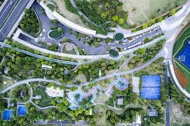 斯科尔斯：如果阿森纳再输焦点比赛，他们将争冠无望